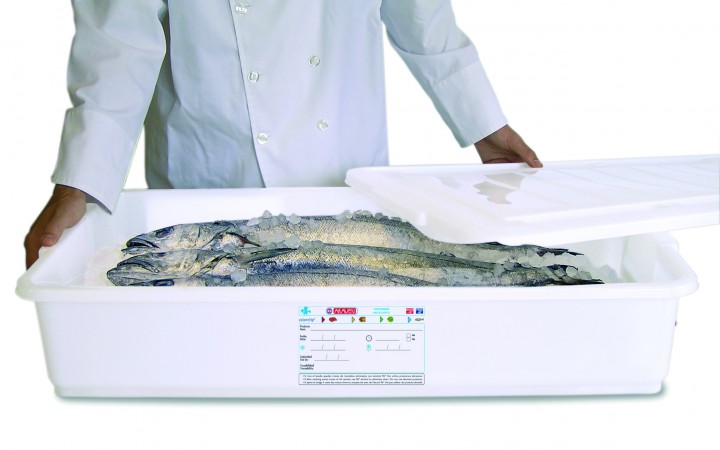 Mitos y ventajas del pescado congelado – Nexofin