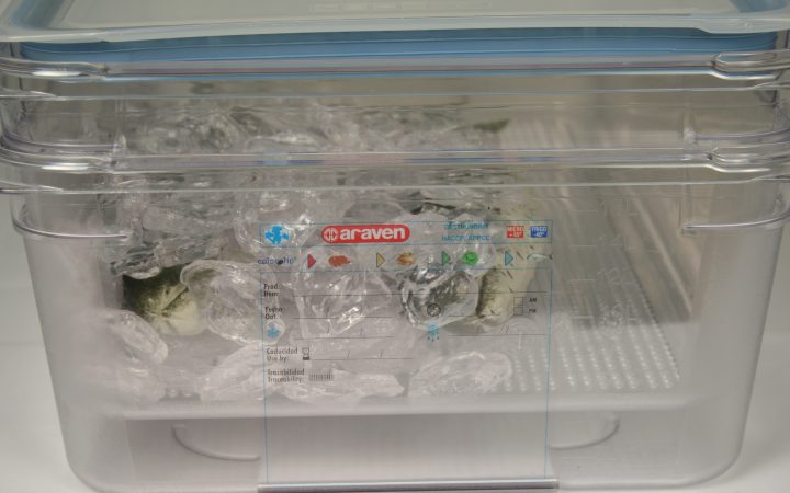 Cubeta perforada descongelación