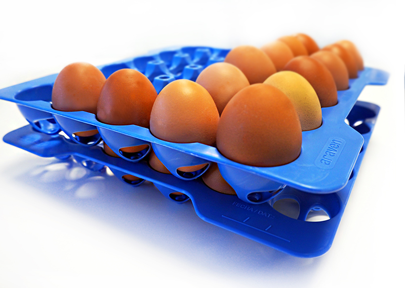 Cómo conservar los huevos correctamente - Araven